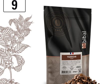 Café Terroir Grain Hot on Sale